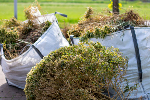 Best Garage Cleanout  in Limesa, CA